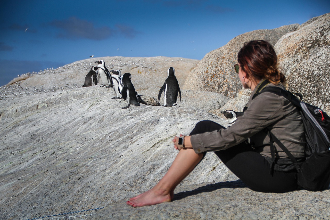 Penguin